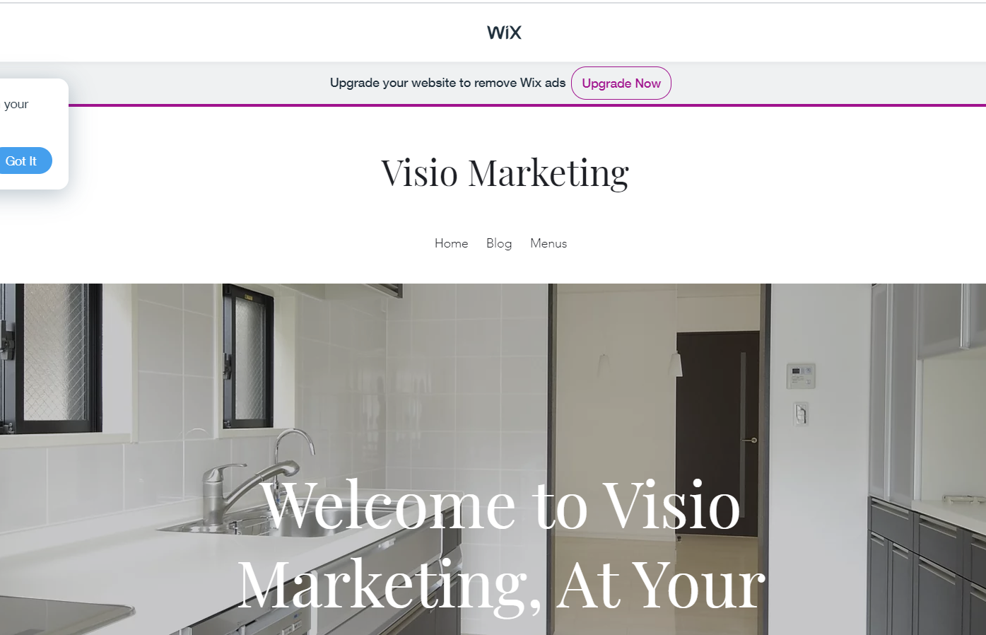 Example first draft of a website