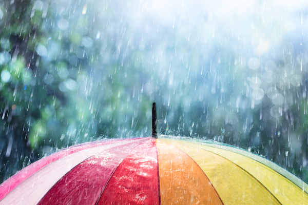 What to Expect in a Landlord Insurance Policy
