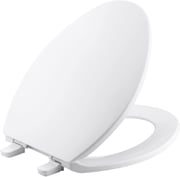 toilet seat upgrad