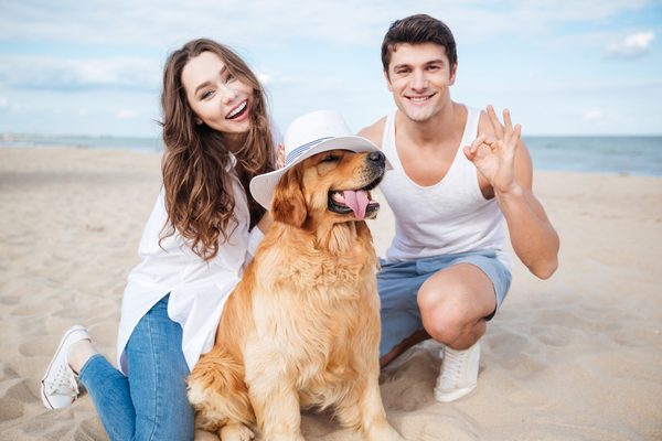 3 Ways to Earn Passive Income This Summer