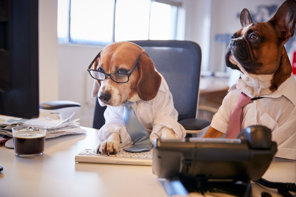 An Overview of Visio's Rate Structures